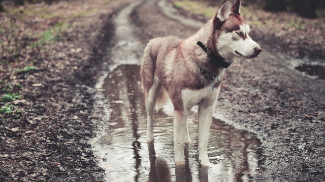 Trojica krátkych výletov v okolí Trnavy