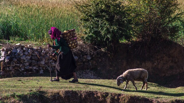 Keď chceš krajšiu Indiu, choď vyššie. Trek cez Lord Curzon Trail (+foto)