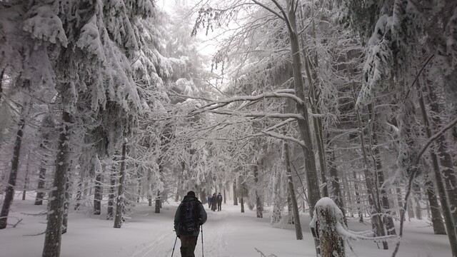 Keď už nevládzeš, môžeš trikrát toľko, vraveli.