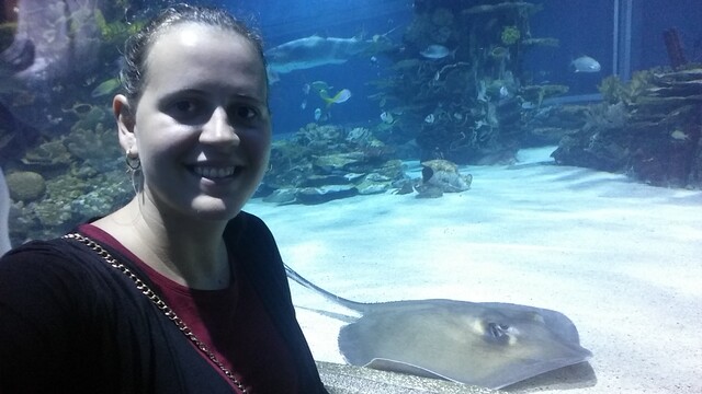 Najväčšie stredoeurópske morské akvárium - Tropicarium Budapešť v Maďarsku