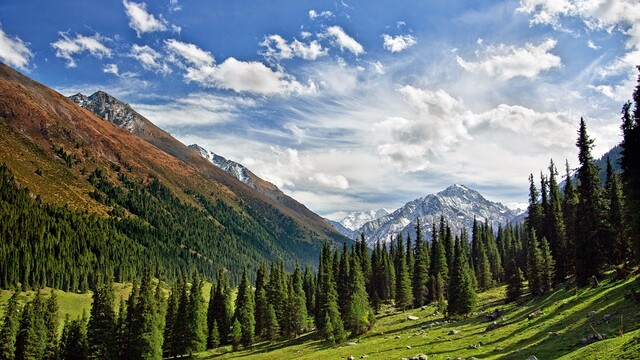 Za noc s pastierom pozbieraj výkaly a ešte ti k tomu dáme kopanec pod koleno